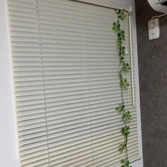 ブラインドカーテン