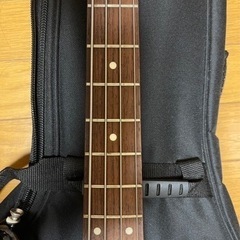 ベース FGN 付属品付　弦取替必要の画像