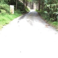 中津川市　恵那神社の近く　携帯で撮影　画像を送って欲しいです