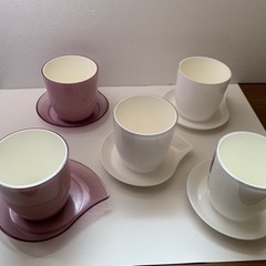 Pon 植物用　ポット　トレイ　セット　ミニ植木鉢の画像