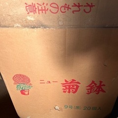 国華園 菊 鉢 サイズ各種の画像