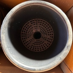 国華園 菊 鉢 サイズ各種の画像