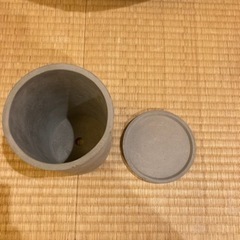 セメント 鉢の画像