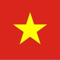 ベトナム語　日本語　100%  翻訳　通訳