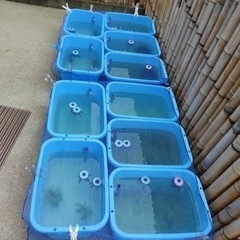 水槽一個500円