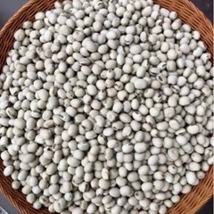 2025年激安 岡山県令和4年製ムクナ豆焙煎微細パウダー100g (くまモン) 西川 根菜・豆類・もやし