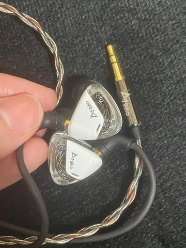 ジャンク品▼アイコオーディオ　密閉型カナルイヤホン