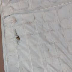 セミダブル ベッド マットレス 難ありの画像