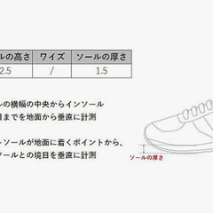 美品 [アシックス] ランニングシューズ LADY JOG 100 2 レディース 24.5センチの画像