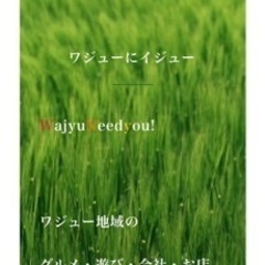 地域情報サイトのお手伝い
