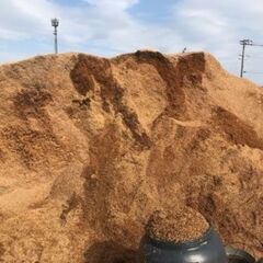 籾殻　モミガラ　もみがら　もみ殻　樹脂製容器入　タンク　雨水　家庭菜園　保管　メダカの画像