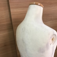 和装トルソーの画像