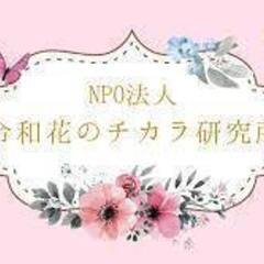 　花壇整備のボランティアの方を募集しています。 熊本市　11/11