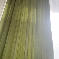 緑のカーテン　両開き左右の画像