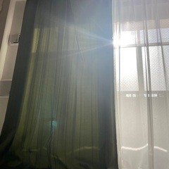 緑のカーテン　両開き左右の画像