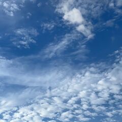 🆓忙しいんだけど何故かお金が無い人必見❗❗1日からでもお仕事出来...