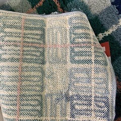シャギー 玄関マット 55×85cm ブルーグリーンの画像