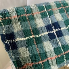 シャギー 玄関マット 55×85cm ブルーグリーンの画像