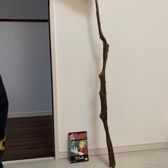 ★流木その1  値引き交渉大歓迎　アクアリウム、観賞用にの画像