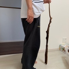 ★流木その1  値引き交渉大歓迎　アクアリウム、観賞用にの画像