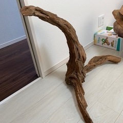 ★流木その5 値引き交渉大歓迎　アクアリウム、観賞用に
