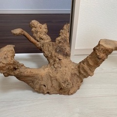 ★流木その6 値引き交渉大歓迎　アクアリウム、観賞用に