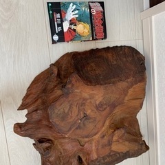★流木その7 値引き交渉大歓迎　アクアリウム、観賞用