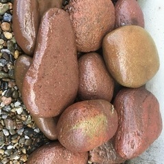 赤い庭石　【譲渡先決まりました】