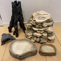 爬虫類ケージ　爬虫類用品セット　の画像