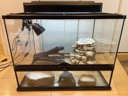 爬虫類ケージ　爬虫類用品セット