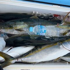 釣り仲間　募集！　ジギングをやりたい人、やってみたい人を探しています。