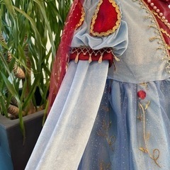 値下げ　プリンセスワンピース　110cmの画像