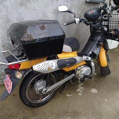 カブプロ110cc 
