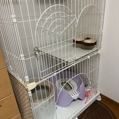 決まりました！ \ キャットケージ /