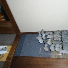 商談済み　2023.10.5　型