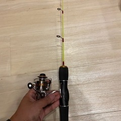 ワカサギの中古が安い！激安で譲ります・無料であげます｜ジモティー