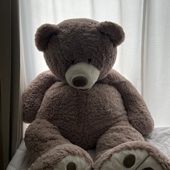 コストコのくまさんの画像