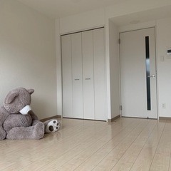 コストコのくまさんの画像