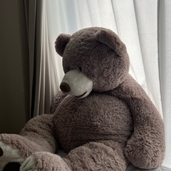 コストコのくまさんの画像