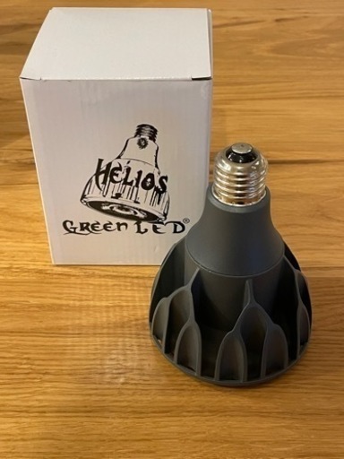 HELIOS GREEN LED 1個