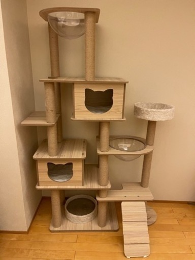 キャットタワー　引き渡し者決定