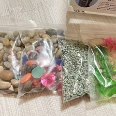 ⭐︎魚飼育セット⭐︎の画像