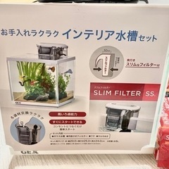 ⭐︎魚飼育セット⭐︎の画像