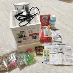 ⭐︎魚飼育セット⭐︎