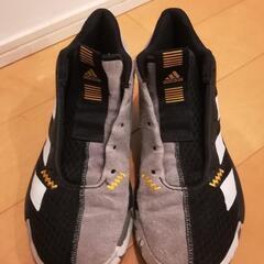 adidas バスケットボール シューズの画像