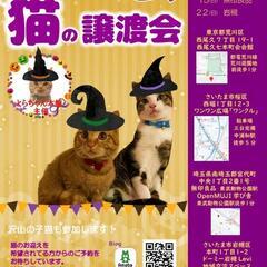 『とらちゃん本舗保護猫譲渡会』さいたま市桜区🍎