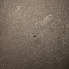 リモワ　中　スーツケースの画像