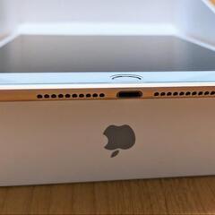 iPad mini 第5世代 256GB Wi-Fi Apple Pencilの画像