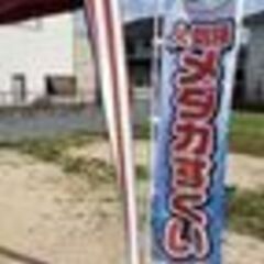 メダカすくいinろまんちっく村