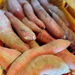 紅はるか 1キロ250円 熟成済み 甘いの画像
